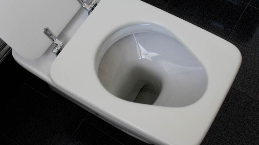 Oda a la tablet de WC, el dispositivo que destronó a los botes de champú