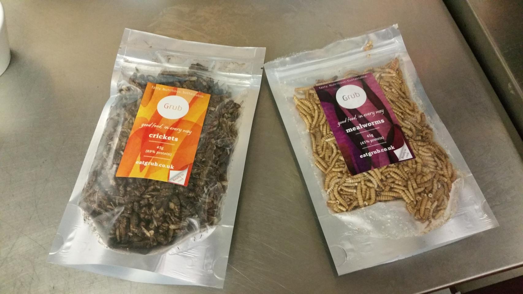 Los bichos congelados del chef.