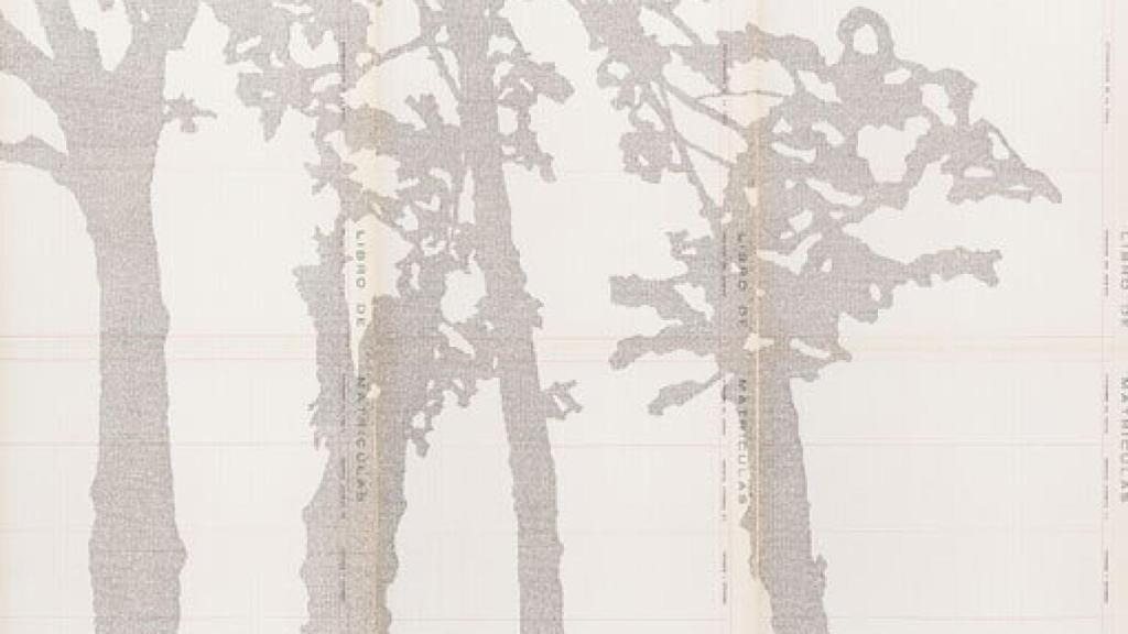 Image: Los fonemas de Johanna Calle