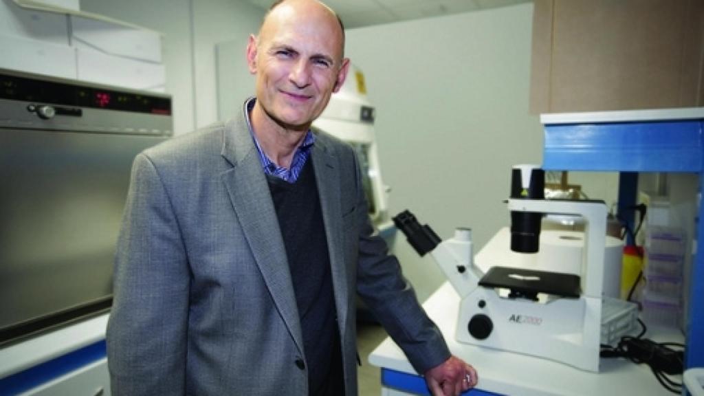 Image: Alargan la vida de ratones gracias a la reprogramación celular