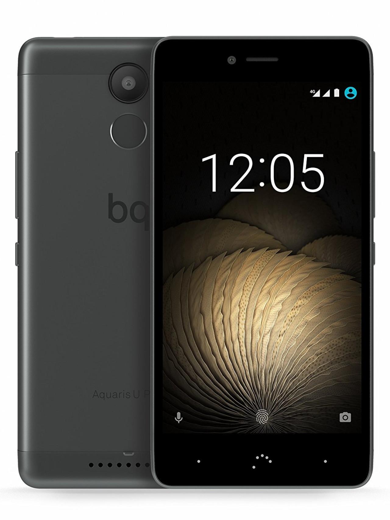 El precio dependerá de la cámara que quieras.