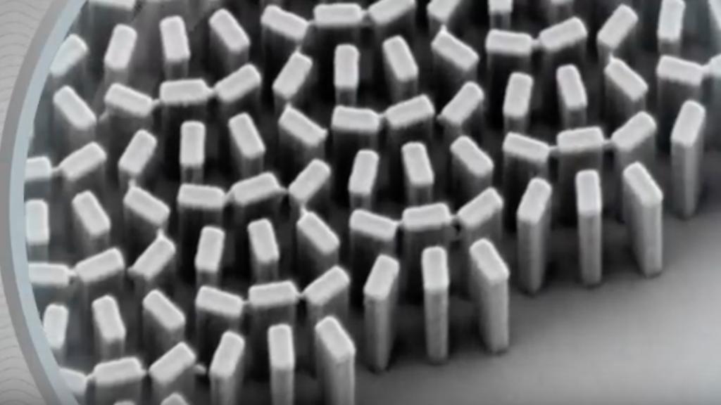 Detalle de las metalentes publicadas en Science.