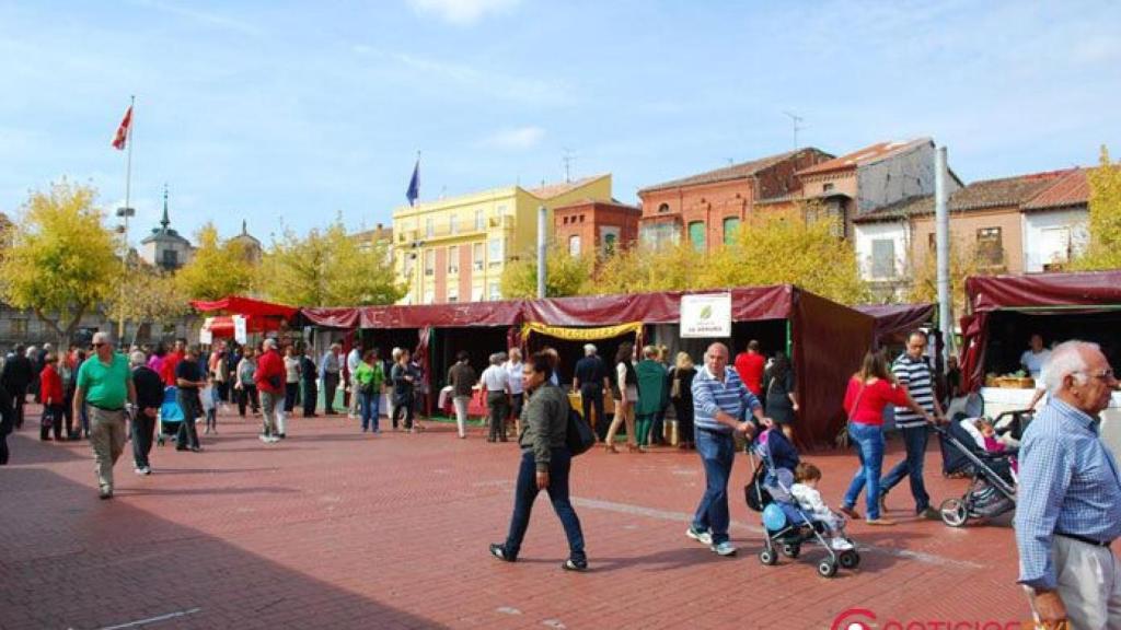 feria-de-productos-de-la-tierra-de-medina-del-campo-2