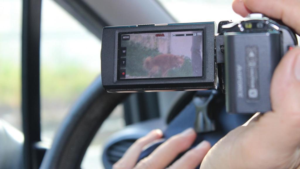 El detective capta el momento exacto en el que el perro defeca sobre la acera