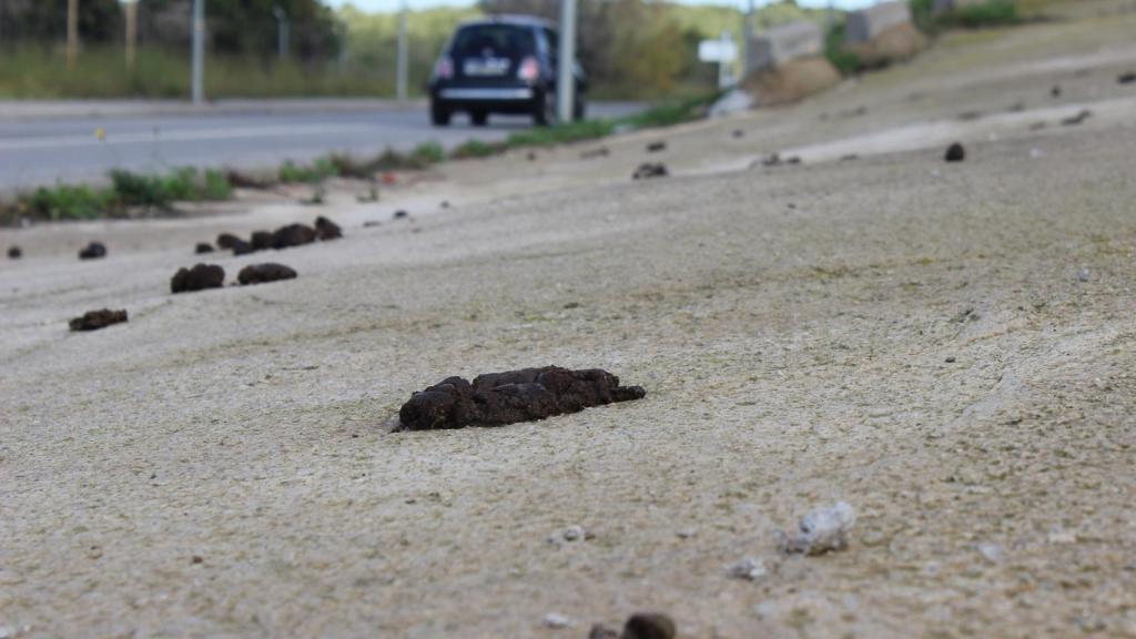 Algunas calles de barrios periféricos de Tarragona parecen campos de minas