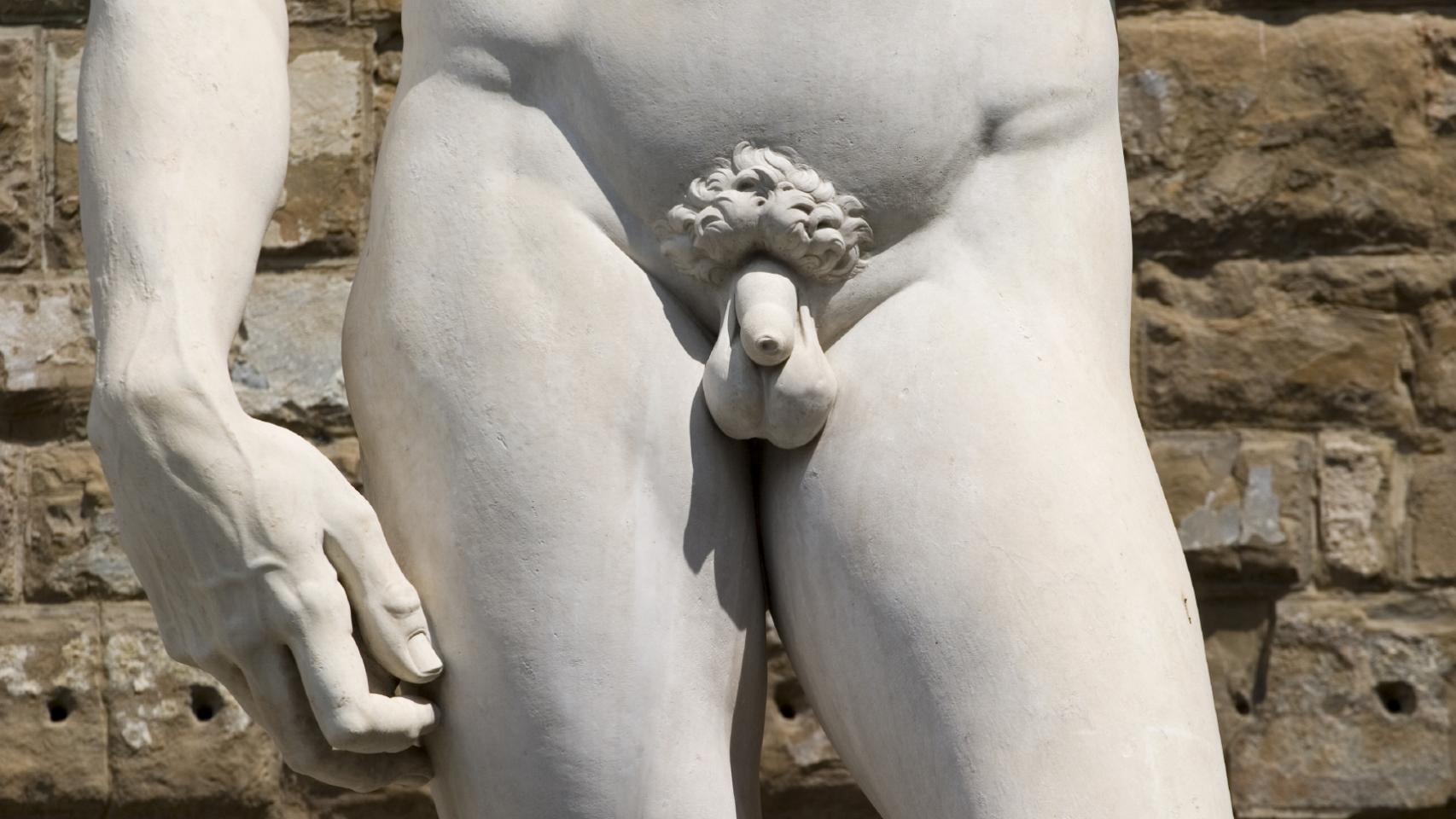 La estatua de David de Miguel Ángel.