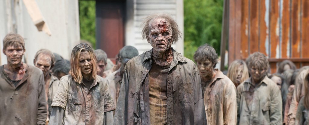 the_walking_dead