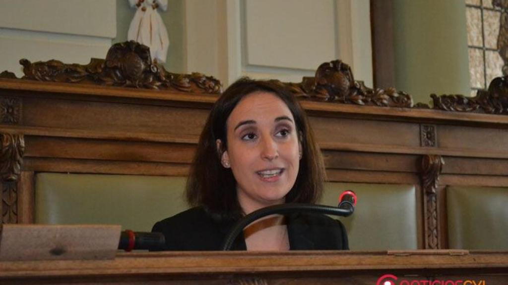 pilar-vicente-ciudadanos-valladolid-pleno-enero-colegios