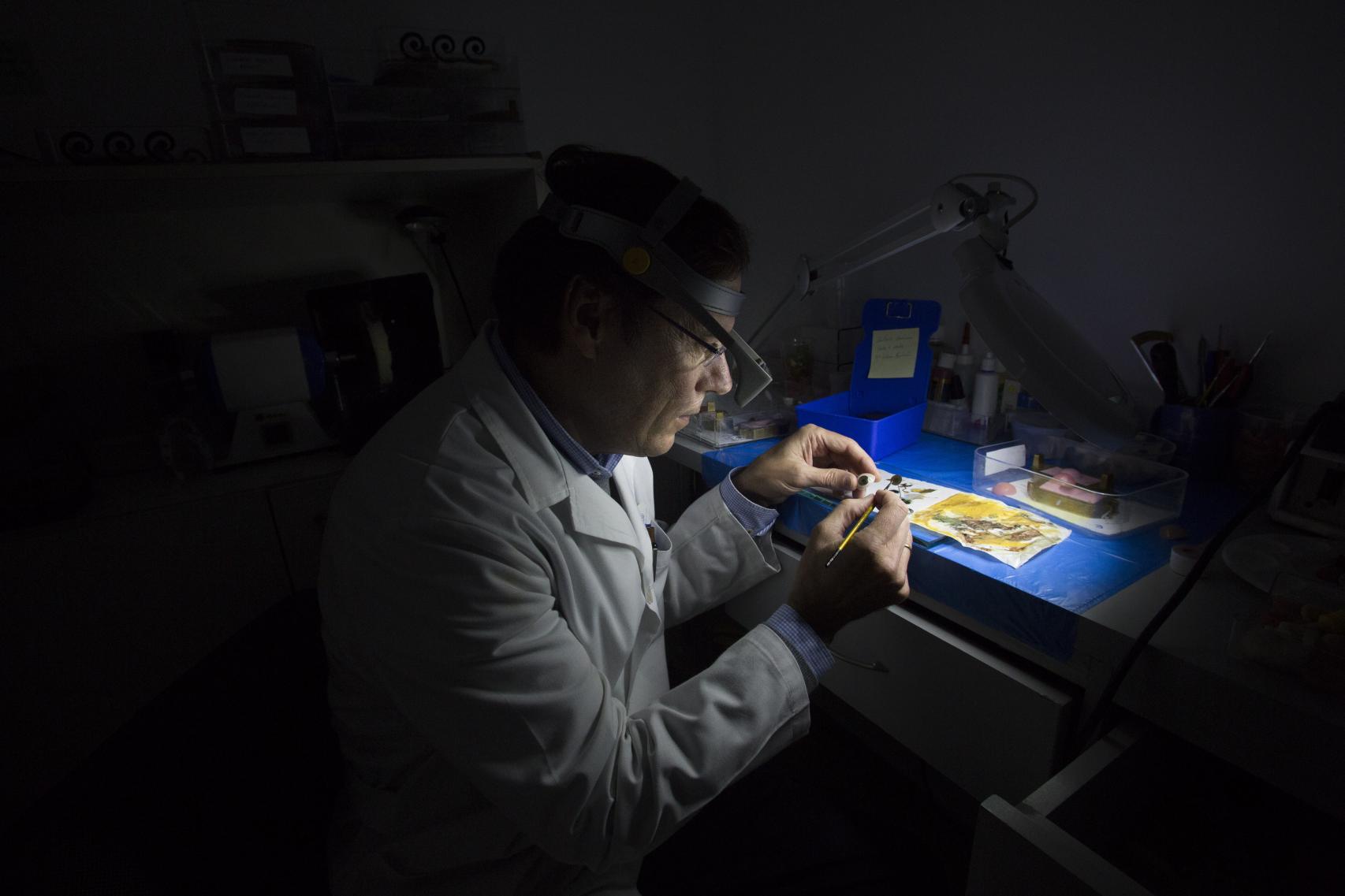 José Manuel aplicando pinturas a la prótesis de forma artesanal.