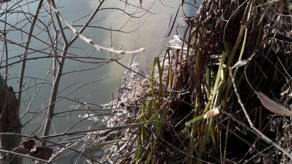 ciuadadanos-zamora-vertidos