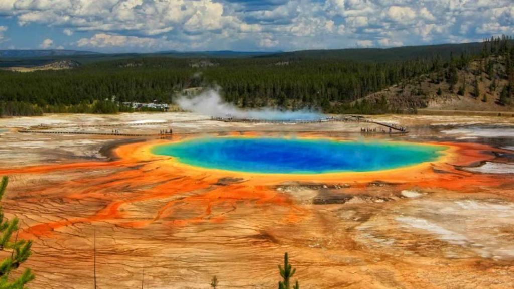 ancestros microbianos