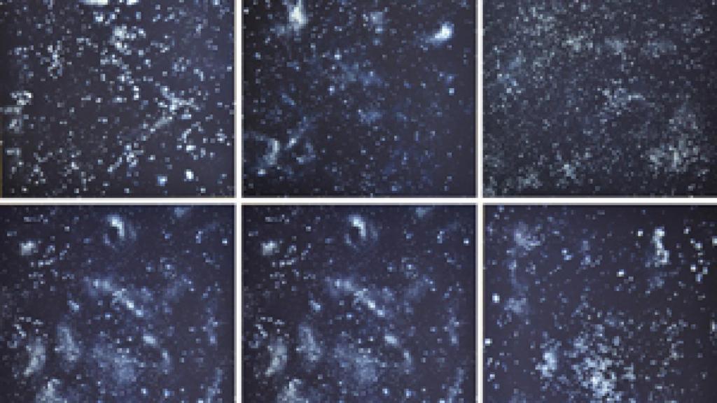 Image: Ugo Rondinone, perversa melancolía