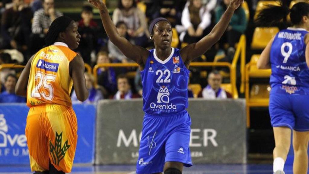 avenida-vs-quesos-el-pastor