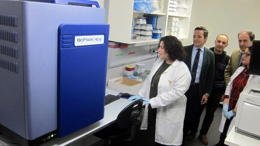 investigacion-celulas-usal