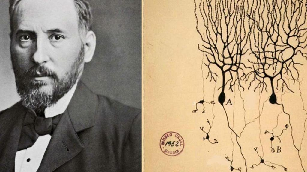 ramón y cajal