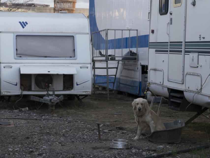 Las caravanas son el principal acompañante de los artistas en su modo de vida.