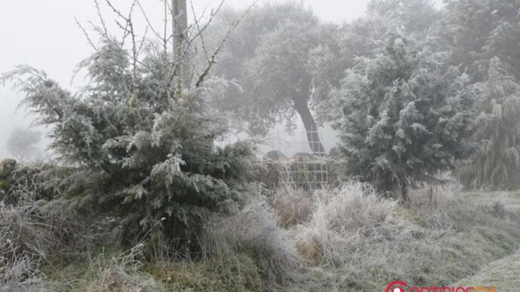 festa-menino-2016-vila-cha-84