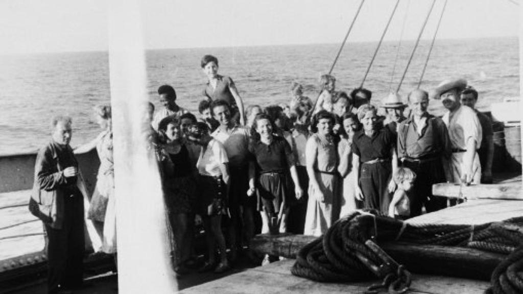 Image: Los árboles portátiles