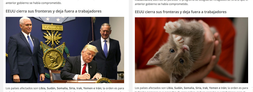 trump-gatitos