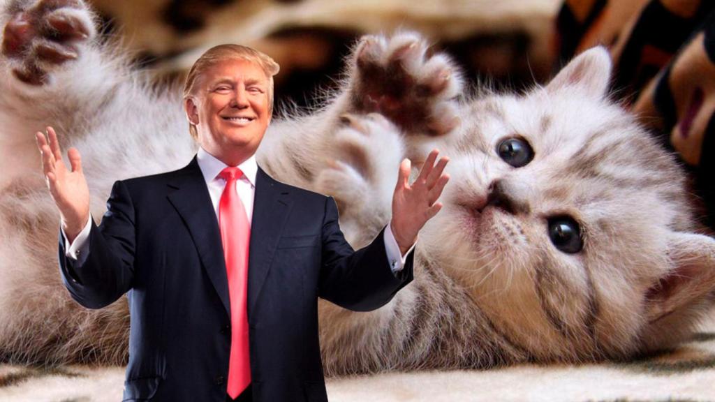 trump-gatos