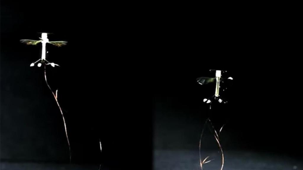 microbot-abeja-electricidad-estatica-3