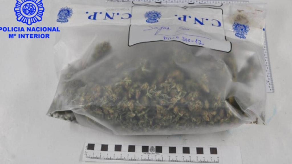 Burgos-Aranda-de-Duero-opiaceos-marihuana