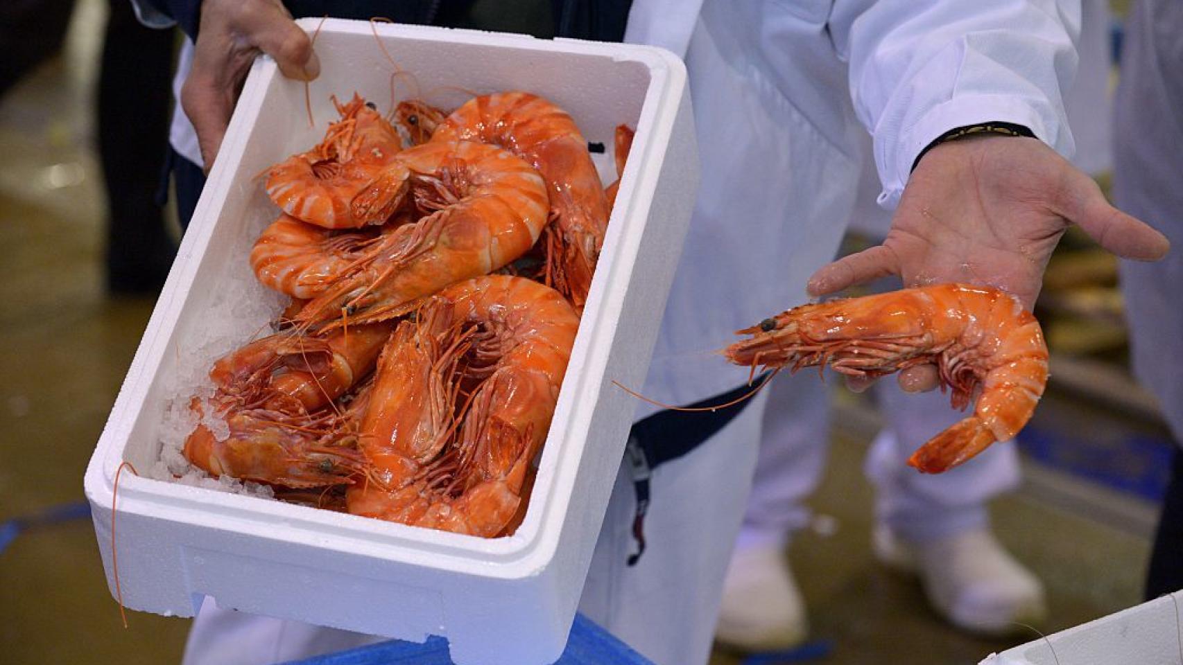 En zonas contaminadas, los gambones son los primeros en salir pitando.