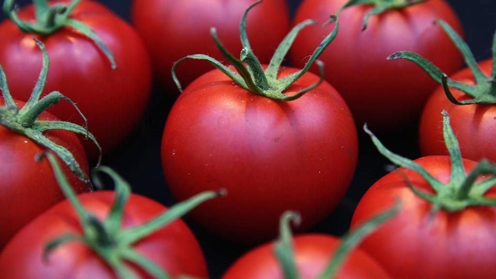 Imagen de varios tomates.