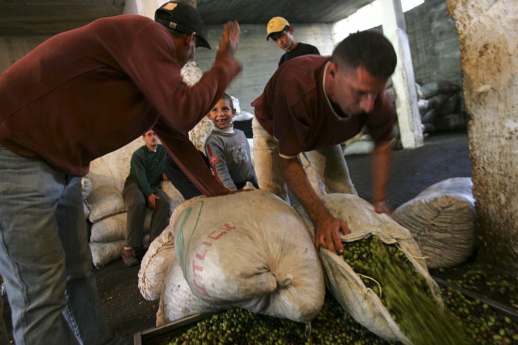 Producción de aceite de oliva