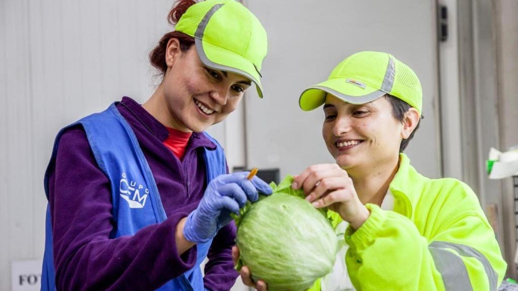 Del campo a la mesa: Murcia es la región líder española de producción de lechugas