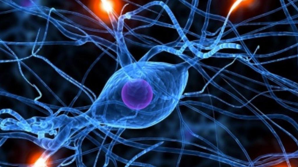 tecnologia-implantes-cerebrales-practicos