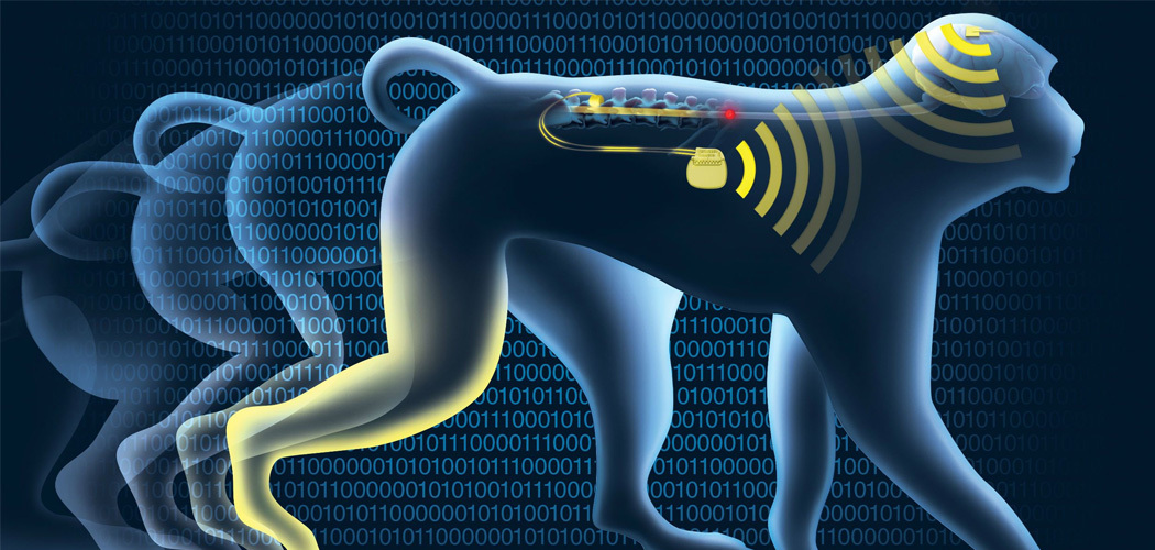 tecnologia-implantes-cerebrales-practicos-2