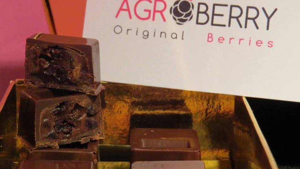 zamora agroberry bombones mora 3