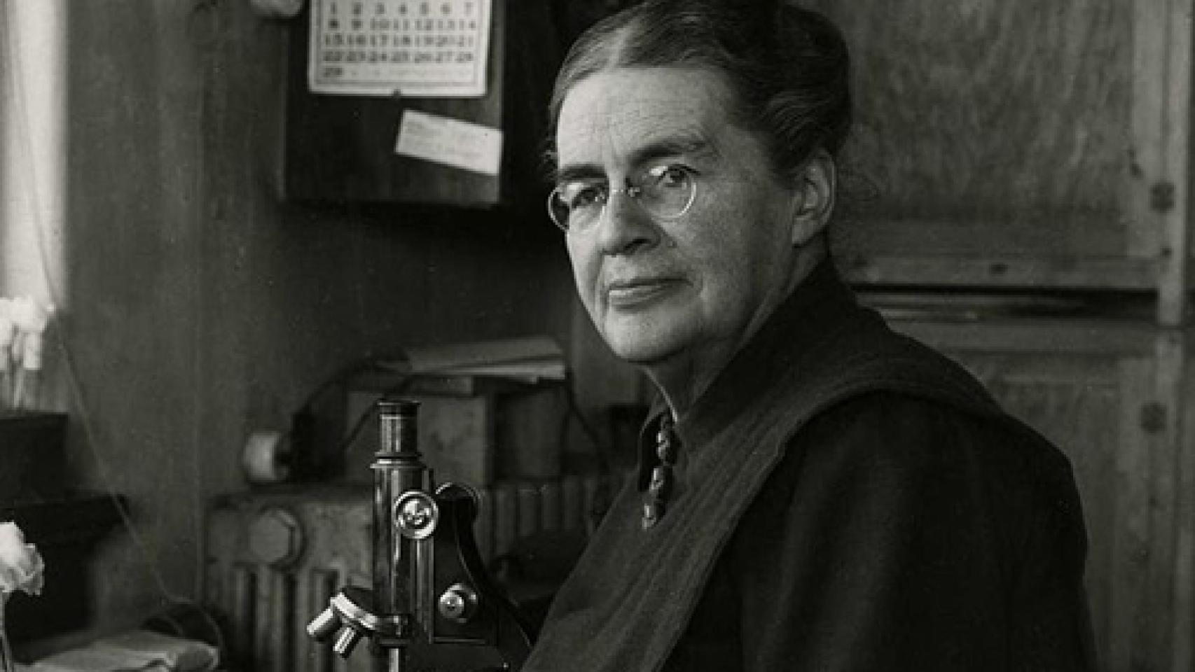 Image: Científicas en Academias