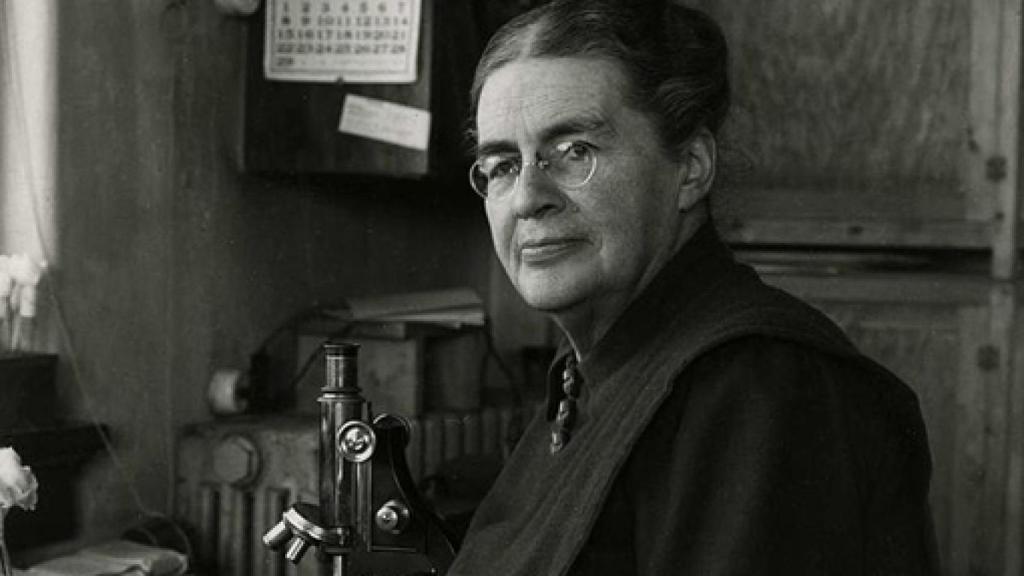 Image: Científicas en Academias