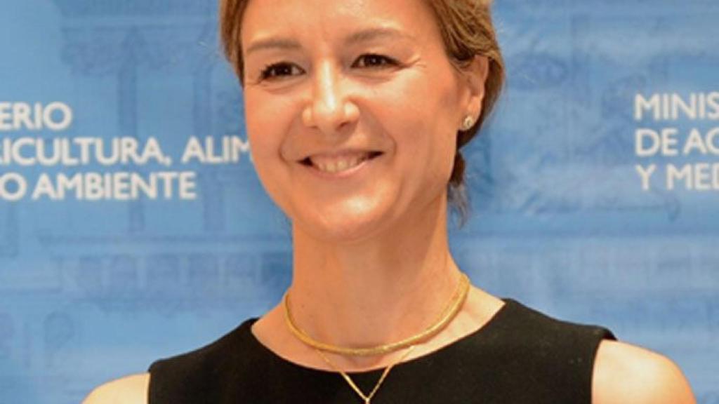 ministra garcia tejerina