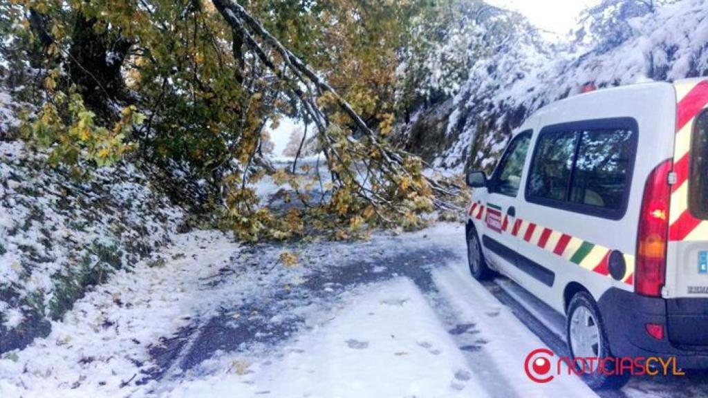zamora-nieve-sanabria