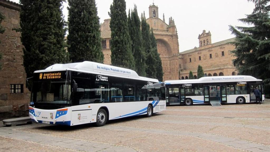 autobuses-gas-natural-salamanca