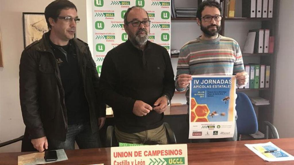 zamora uccl apicultura