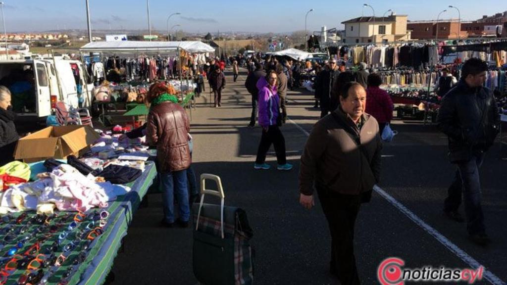 zamora mercadillo__IMG_1357
