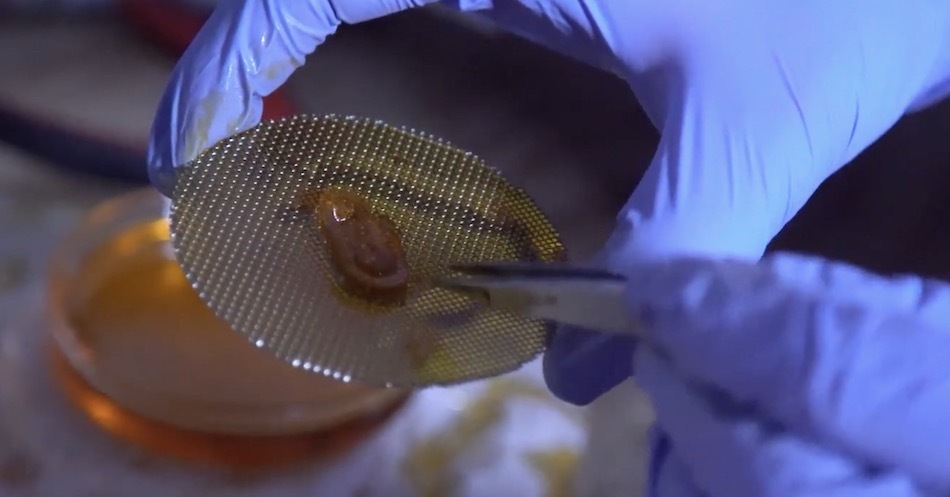 impresion 3d holografica