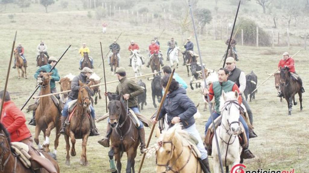 Salamanca encierro caballo ciudad rodrigo 3