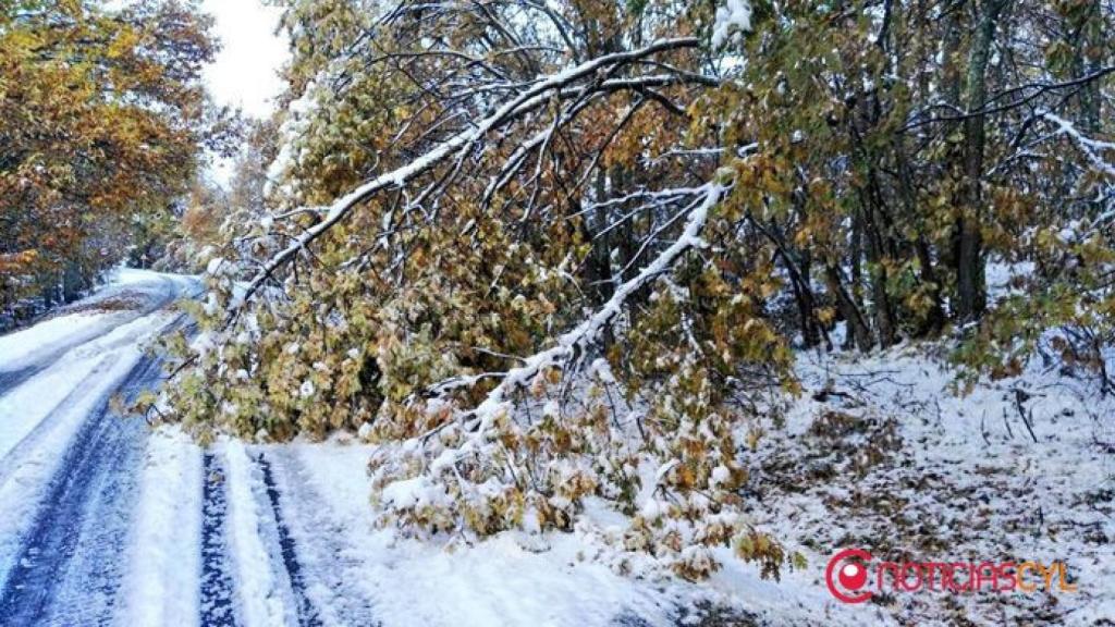 Zamora nieve sanabria 1 2