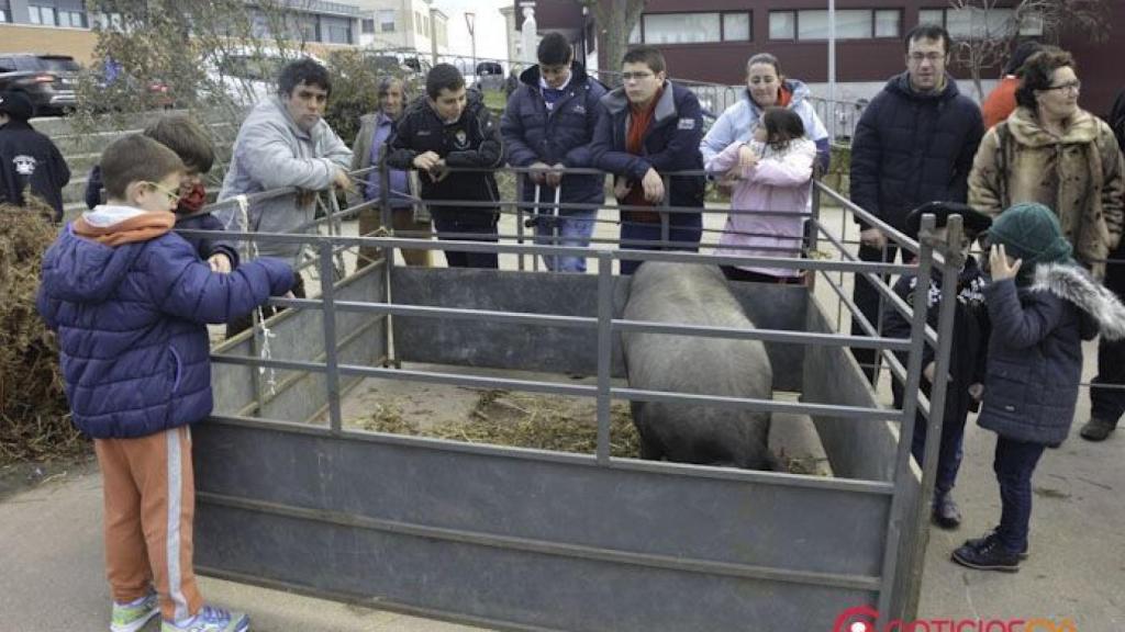 Matanza de Guijuelo 2016 cofradias y clausura (64)