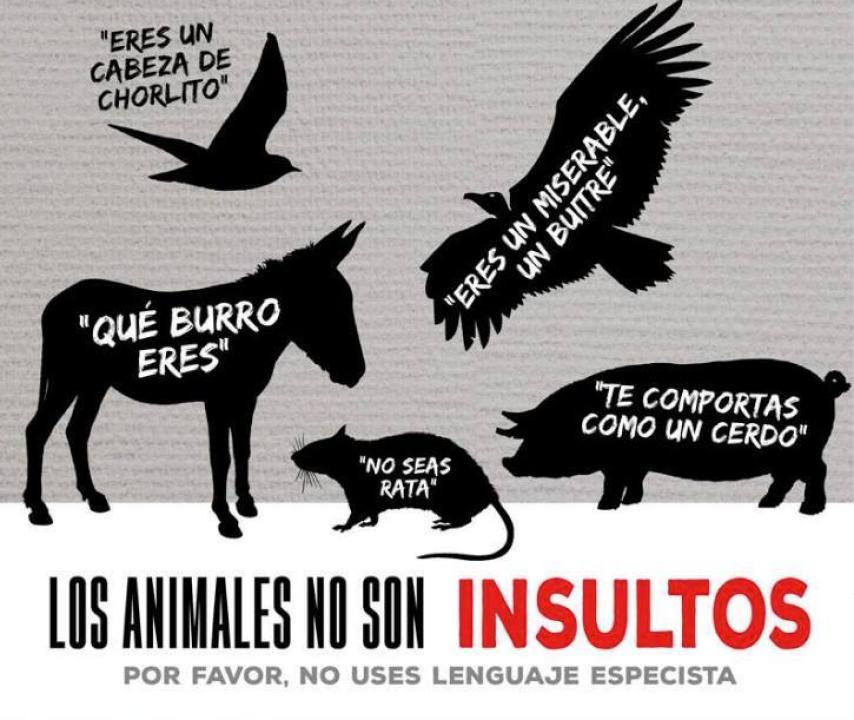 El cartel reivindicativo de SVF.