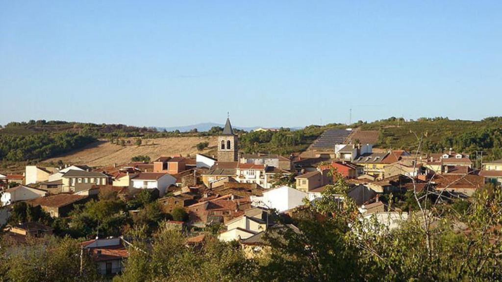 zamora trabazos