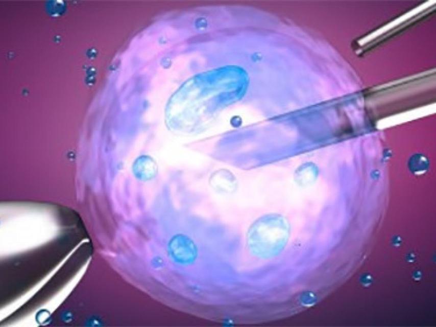 Sebastian es uno de los muchos alemanes que donan semen en Alemania.