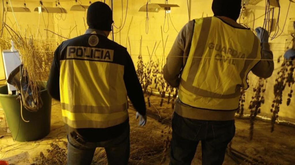 marihuana-salamanca-guardia