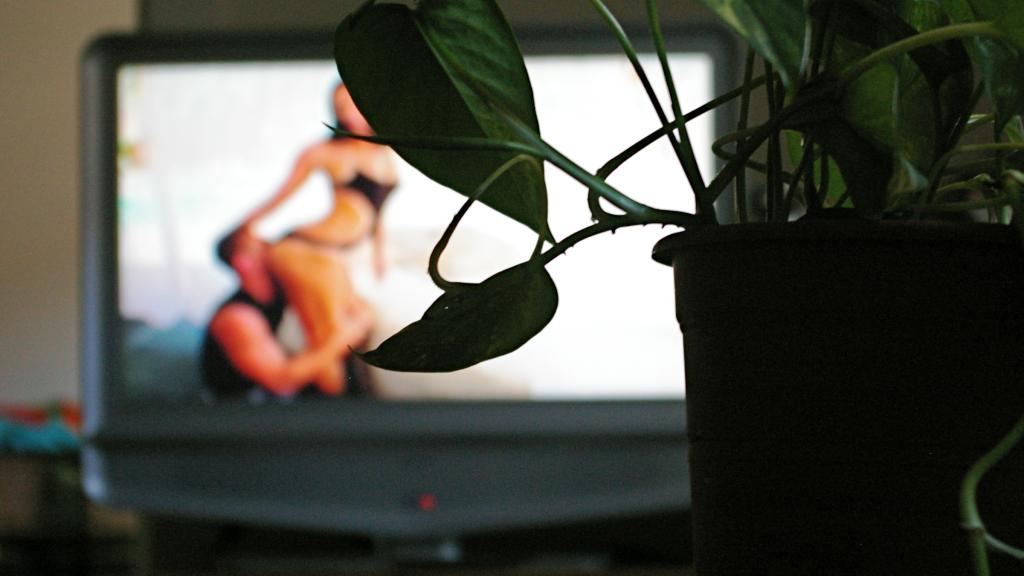 Belladona tras la planta.