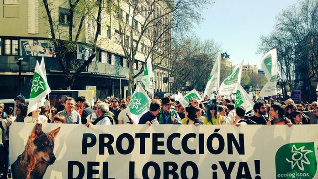 Regional-ecologistas-proteccion-lobo-iberico